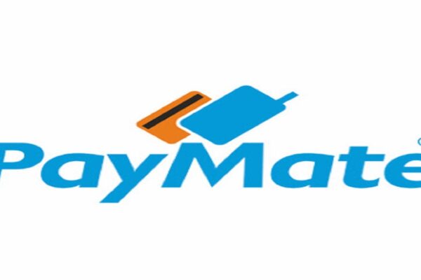 PayMate India refiling IPO papers after getting final nod from RBI for payment aggregator licence