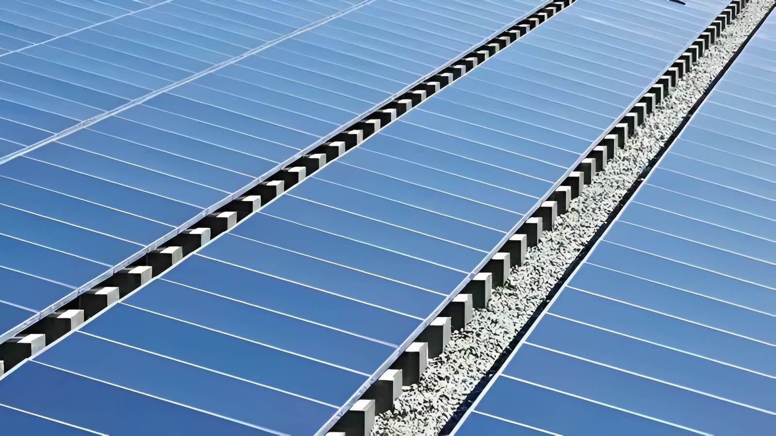 Gaurs Group establishes 15MW solar power plant in Madhya Pradesh for Rs 80 Cr
