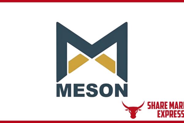 Meson Valves IPO