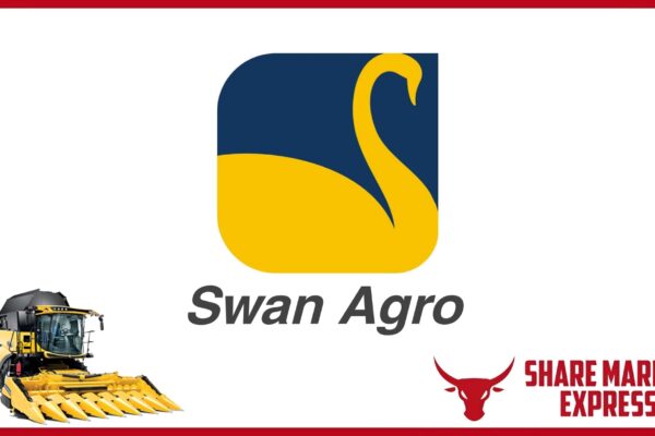 New Swan Multitech IPO