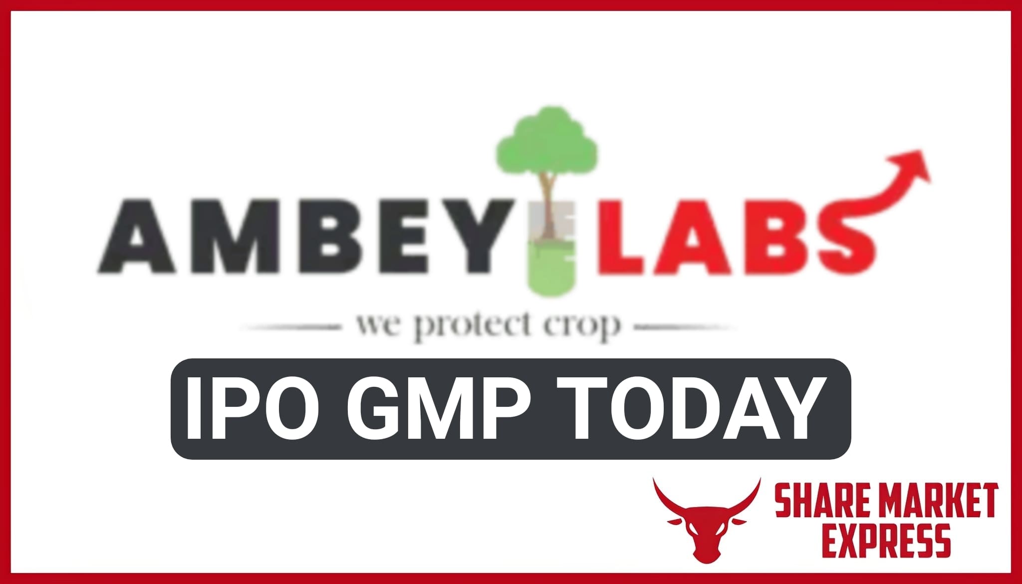 Ambey Laboratories IPO GMP Today