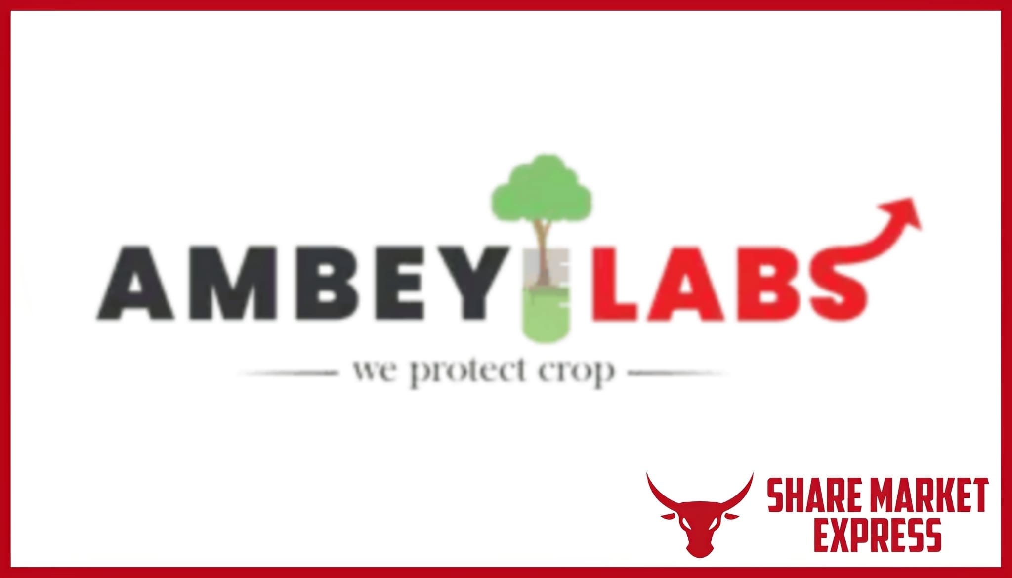 Ambey Laboratories IPO